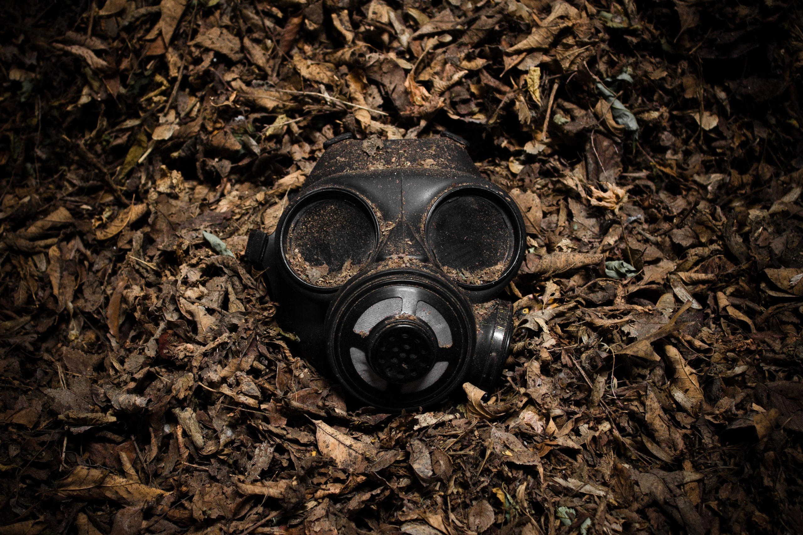 Gas mask